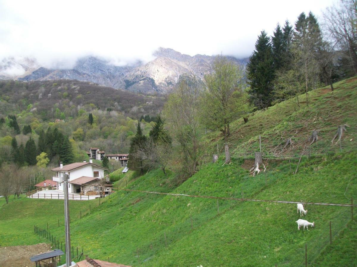 B&B In Fattoria Frisanco Exterior photo